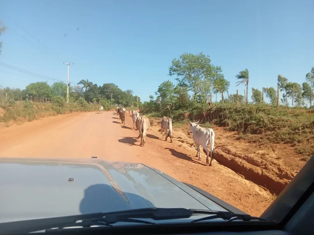 Auswandern Paraguay Paraiso Verde Camino