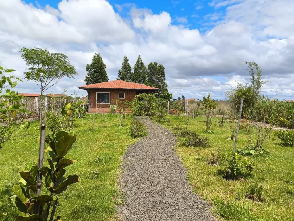 Auswandern Paraguay Erfahrungen: Das Haus von Sophie und Jan mit einem gemeinsamen Garten