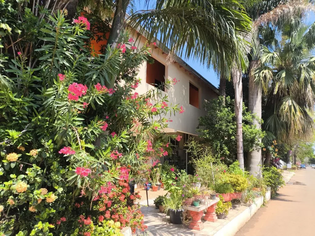 Haus und Pflanzen in Caazapa Stadt